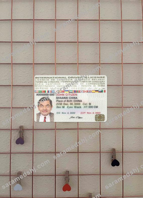 International driver's license photolook FRONT